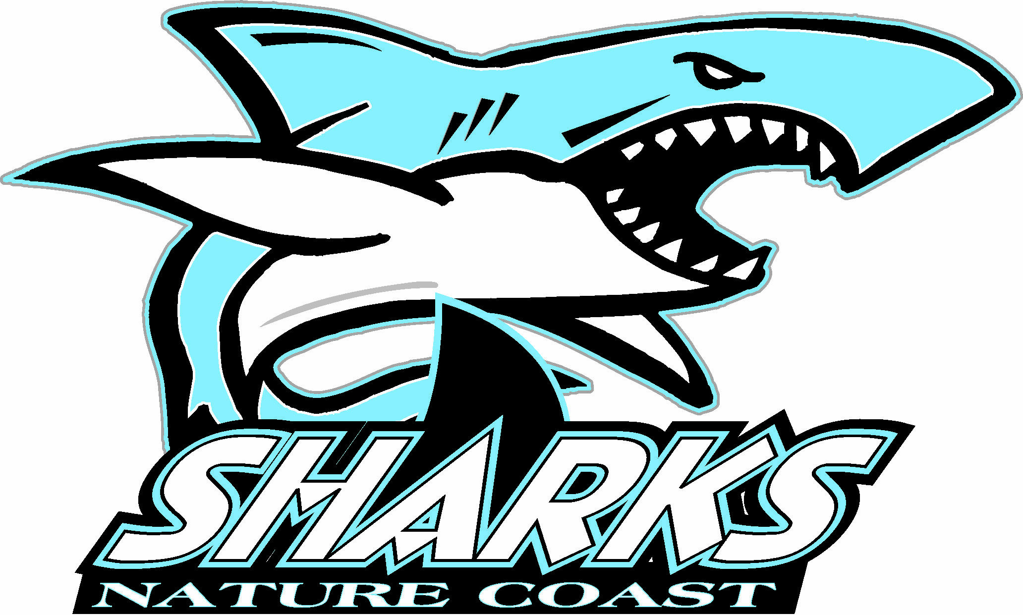 Nature Coast Technical High logo