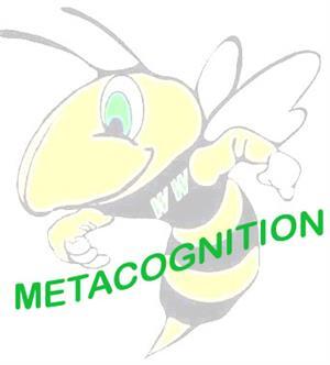 Metacognition