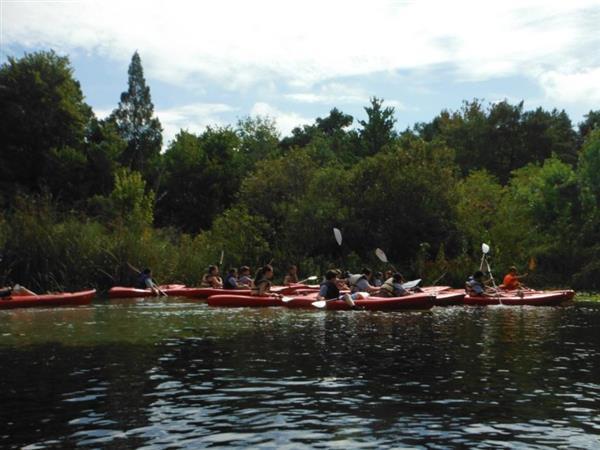 Middle School students 10