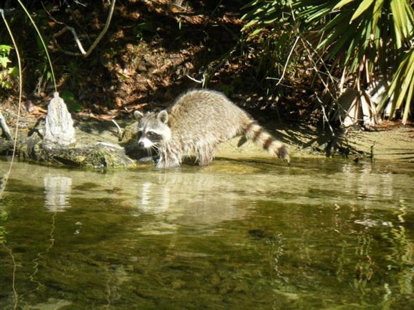 Middle School students 11