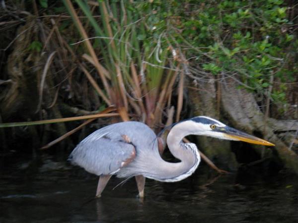 Middle School students 12