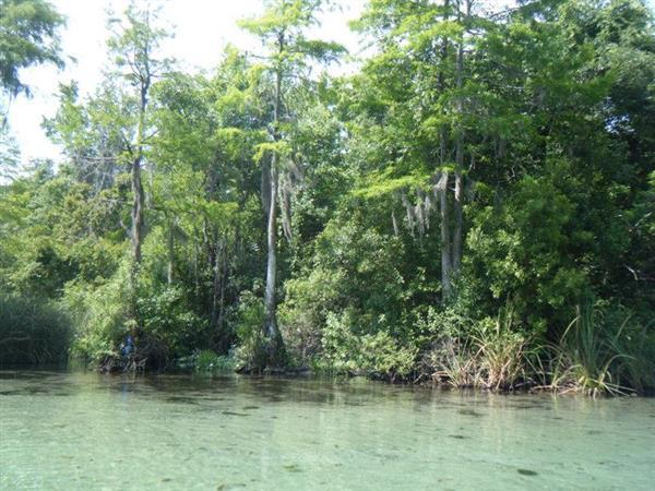 Middle School students 5