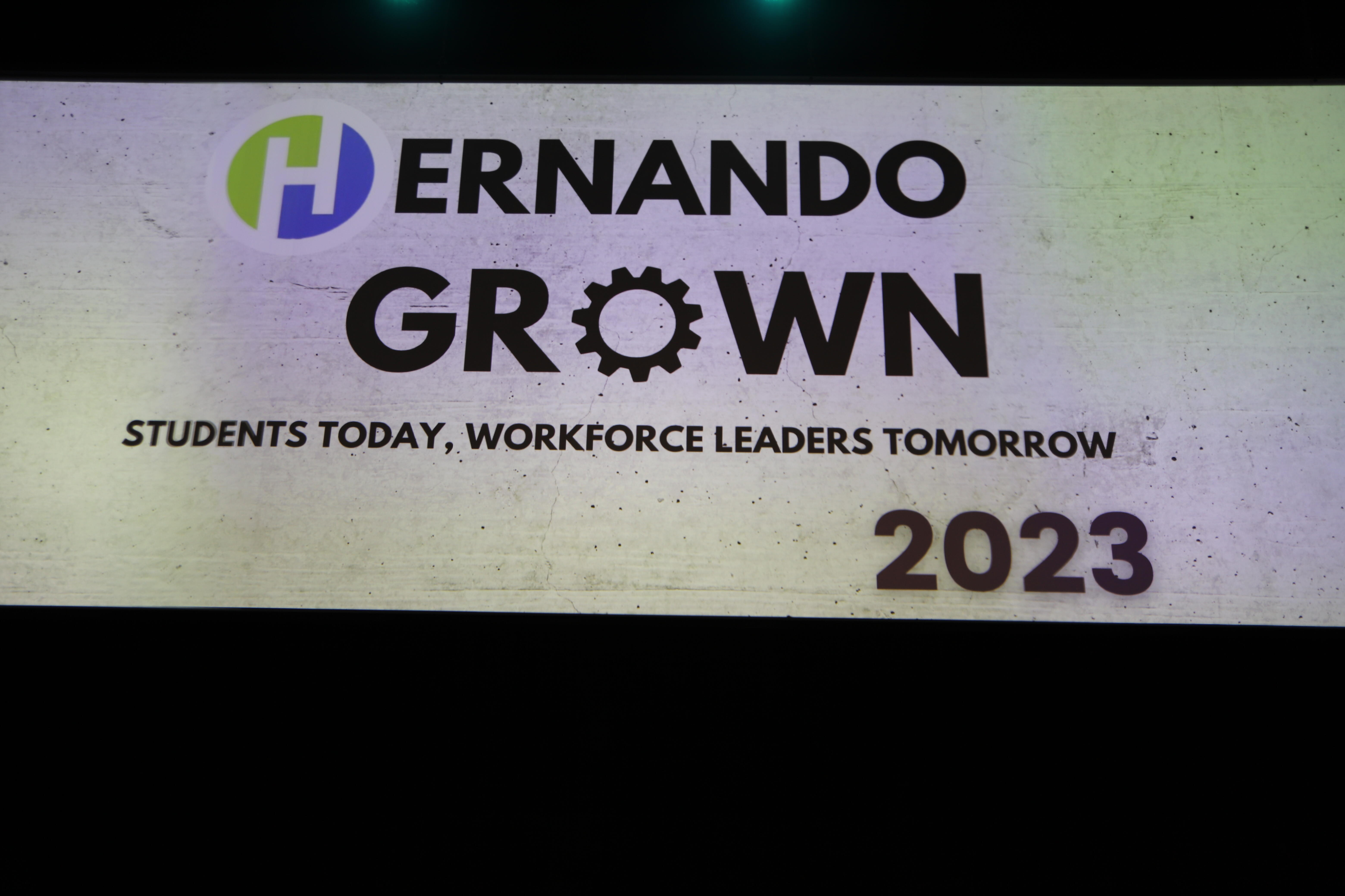 Hernando Grown projector screen