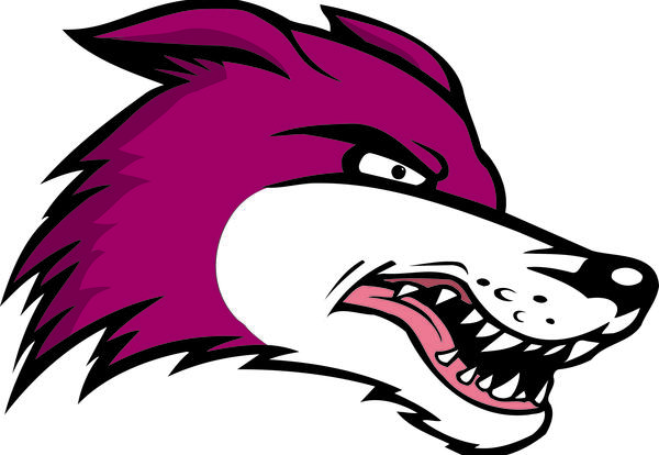 DHPA Athletics Update