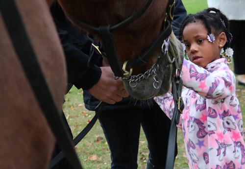 A female prekindergarten student pats an ǷԴ Police horse.