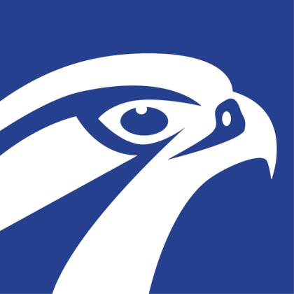 91 High Falcon logo