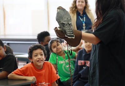Students gaze at bird of prey in wonder