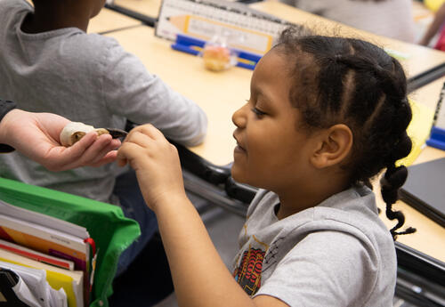 Smiling student touches a crow skull