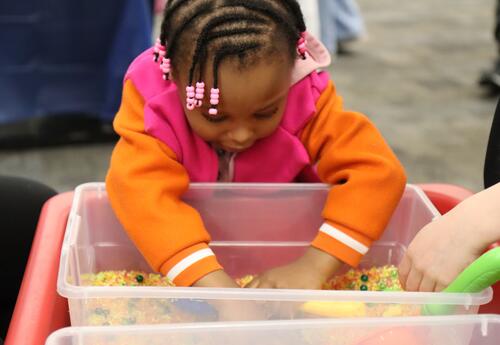 A student plays with a sensory bin at the Autism Spectrum Fair.