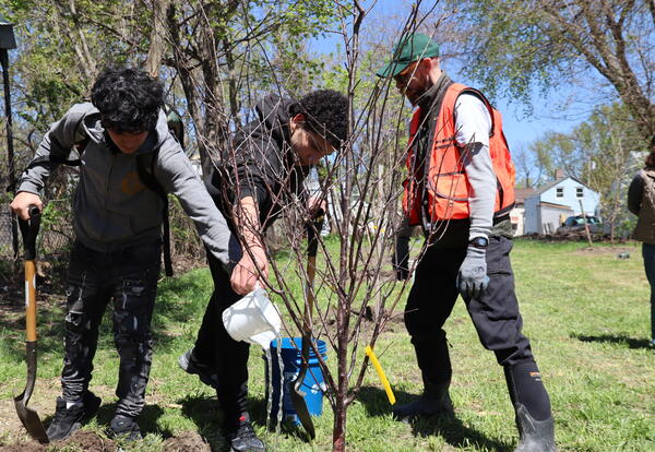 Celebrating Arbor Day!