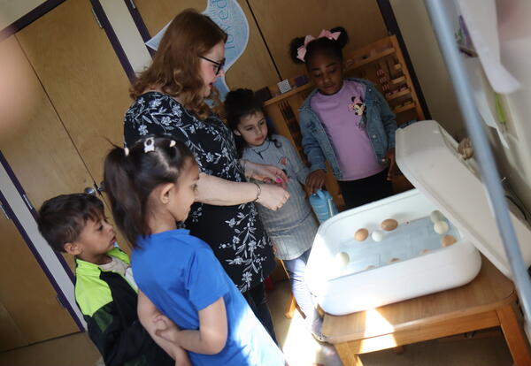 Students rotate eggs while learning about the life cycle of a chick.