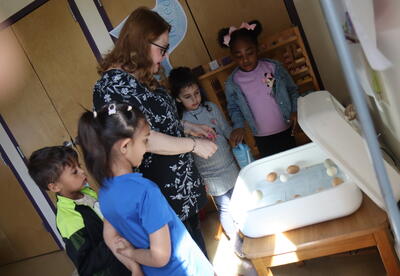 Students rotate eggs while learning about the life cycle of a chick.