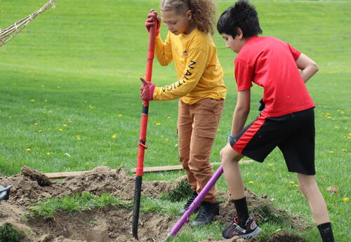 Students dig a hole to plant a tree.