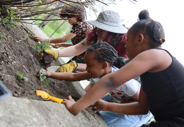 Students plant marigolds in a school garden.