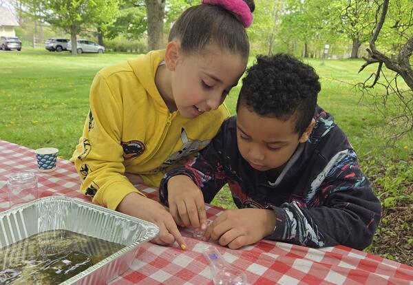 Second graders visit Normanskill