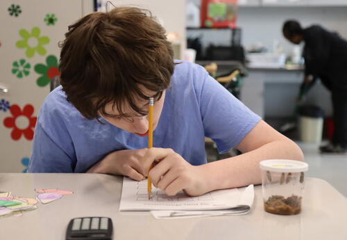 A student studies a chrysalis.