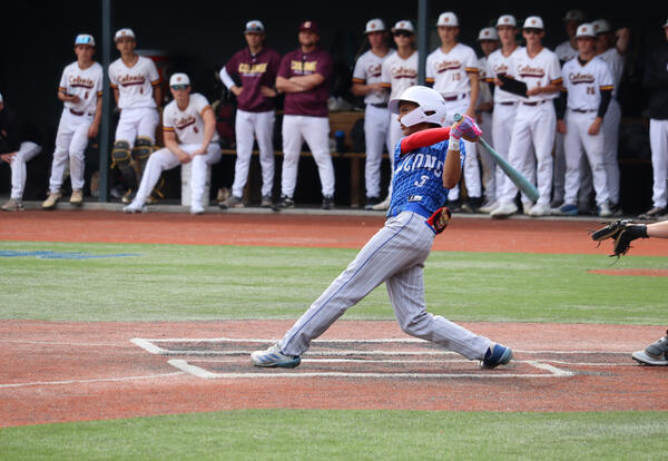Falcon player at bat
