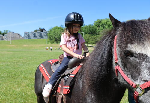 A student participates in a pony ride.
