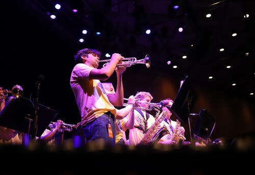 Jazzmanian Devils performing on stage at The Egg