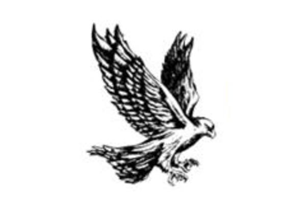 Barnard School WellSAT Summary January 2025