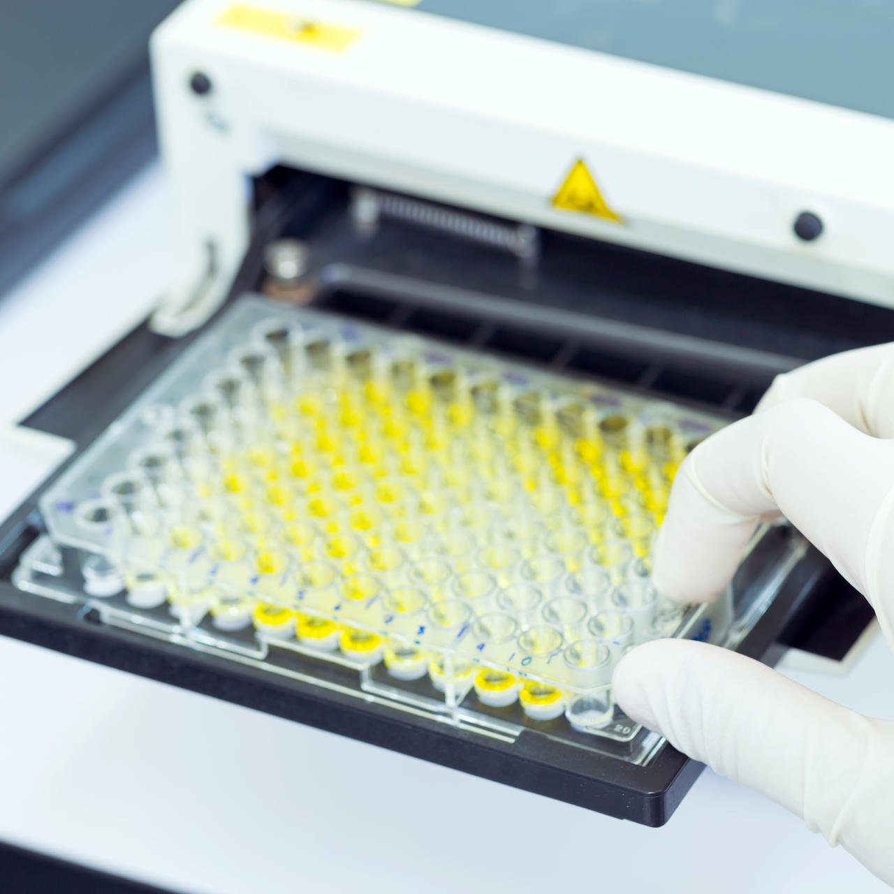 New ToBRFV ELISA Test from Agdia Now Available for Evaluation Company
