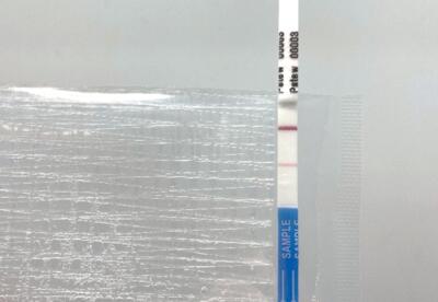 An image of Agdia's new ImmunoStrip lateral flow device for Pantoea stewartii subsp. stewartii