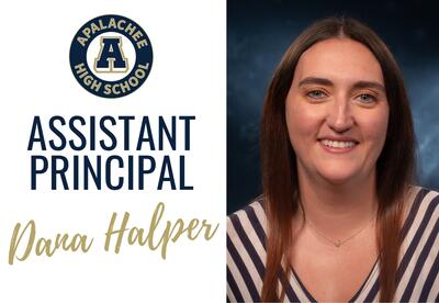 Dana Halper News