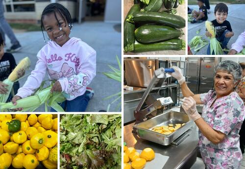 veggies, students, staff