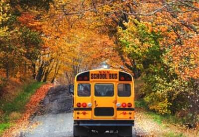 A school bus driving off into the fall leaves.