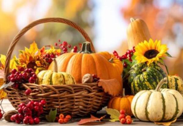 Thanksgiving picture with a brown baskets and several small assorted pumpkins and a sunflower