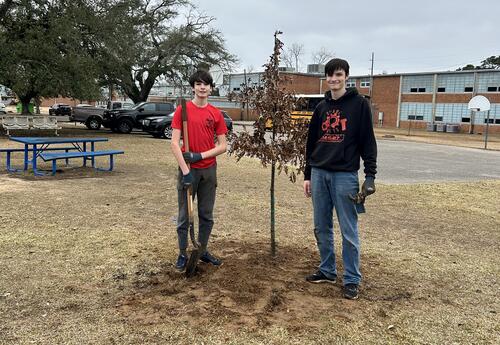 Two teen guys standing proudly by a tree they just planted
