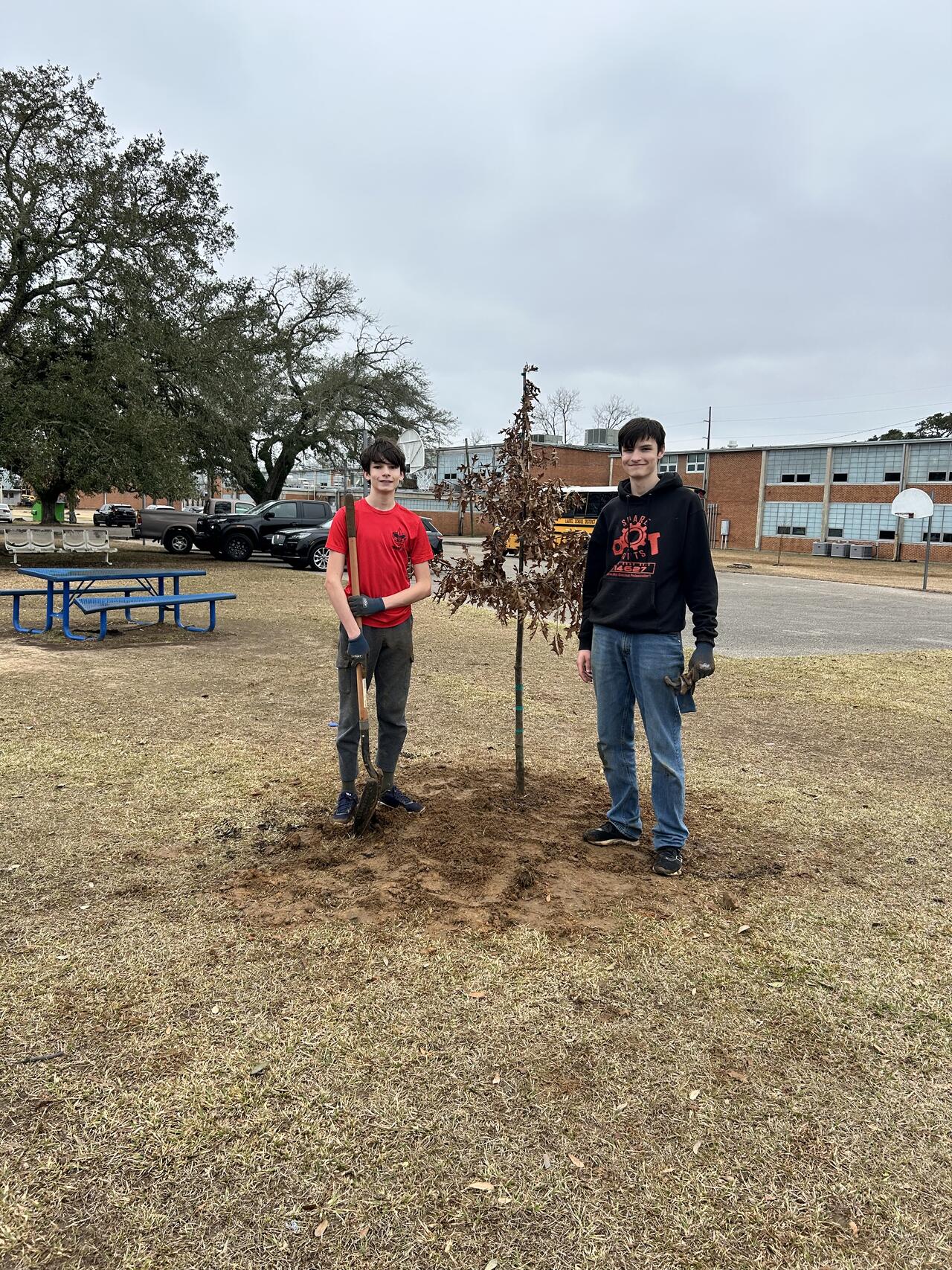 Laurel School District Thanks Community for Tree Planting Effort at Oak ...