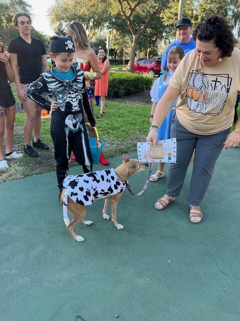 Costume Parade - Photo #3