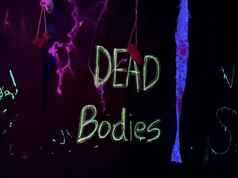 Haunted House Photo #6