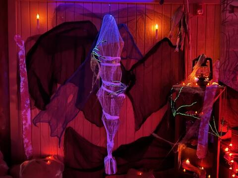 Haunted House Photo #8