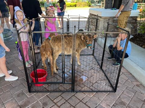 PWL Spring Picnic & Egg Hunts - March 30, 2024 - Photo 9