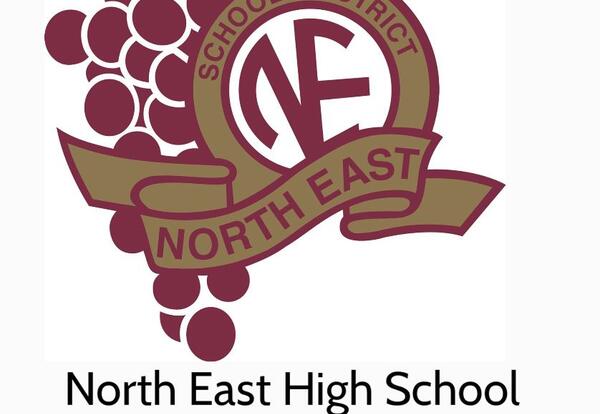 Video:  North East High School - Commencement - Class of 2020 @ 8 PM!