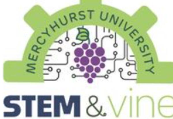 STEM & Vine 2-Day Coding Camp!