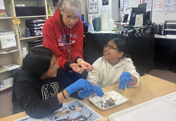 Kenroy Elementary’s Heather Stiver guides students as they explore frog anatomy during a hands-on science lab.