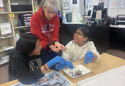 Kenroy Elementary’s Heather Stiver guides students as they explore frog anatomy during a hands-on science lab.
