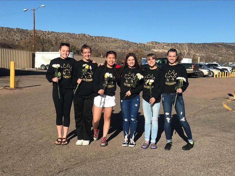 Canon City High School Gymnastics team head to State Canon City Schools