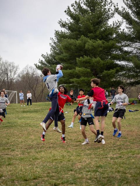 Image 10 of 14
