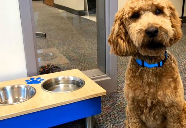 VIRTUAL WJHS Parent/Teacher Conferences Information for March 11/12th