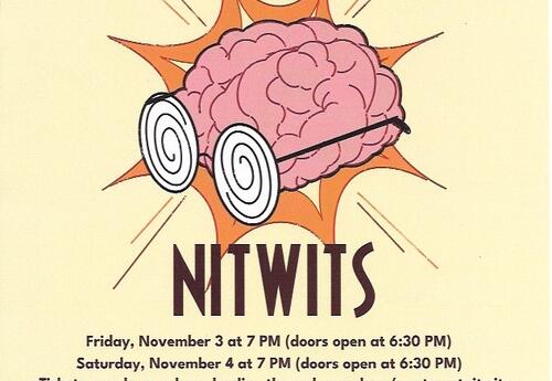 The Nit Wits Poster