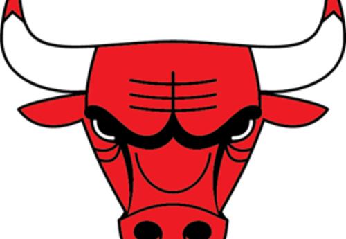 Chicago Bulls Logo