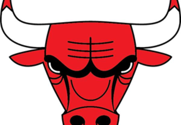 Chicago Bulls Logo