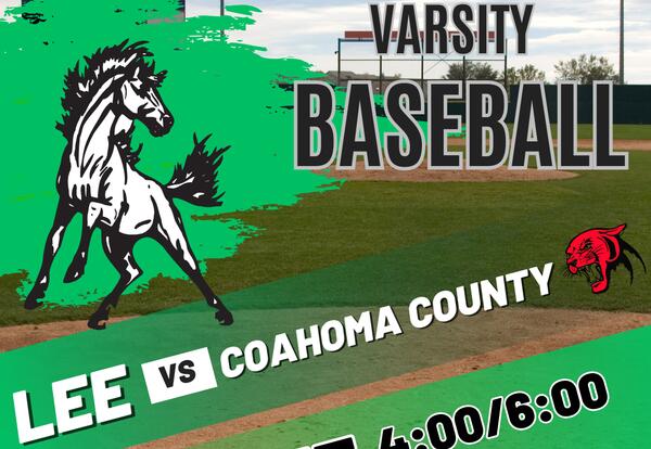 BASEBALL GAME DAY! HOME