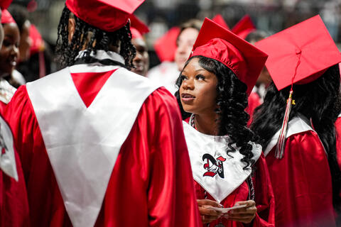 Image 5 of 32