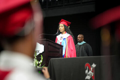 Image 8 of 32