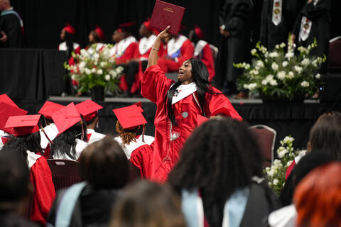 Image 16 of 32